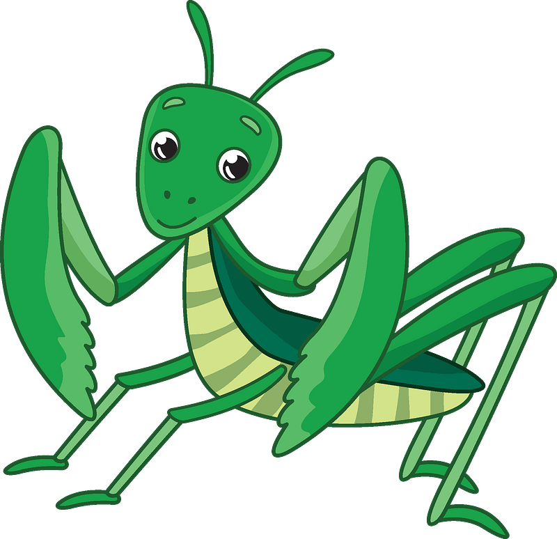 Mantis Clipart - Cartoon - Png Download (800x774), Png Download