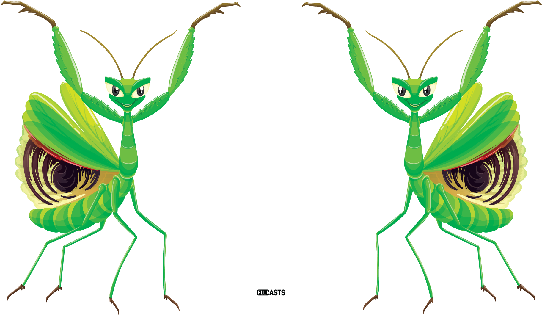 Mantes Religieuses Fond Blanc Clipart (1920x1080), Png Download