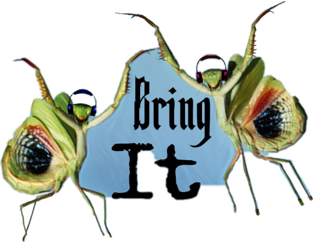 Membrane-winged Insect Clipart (1201x926), Png Download