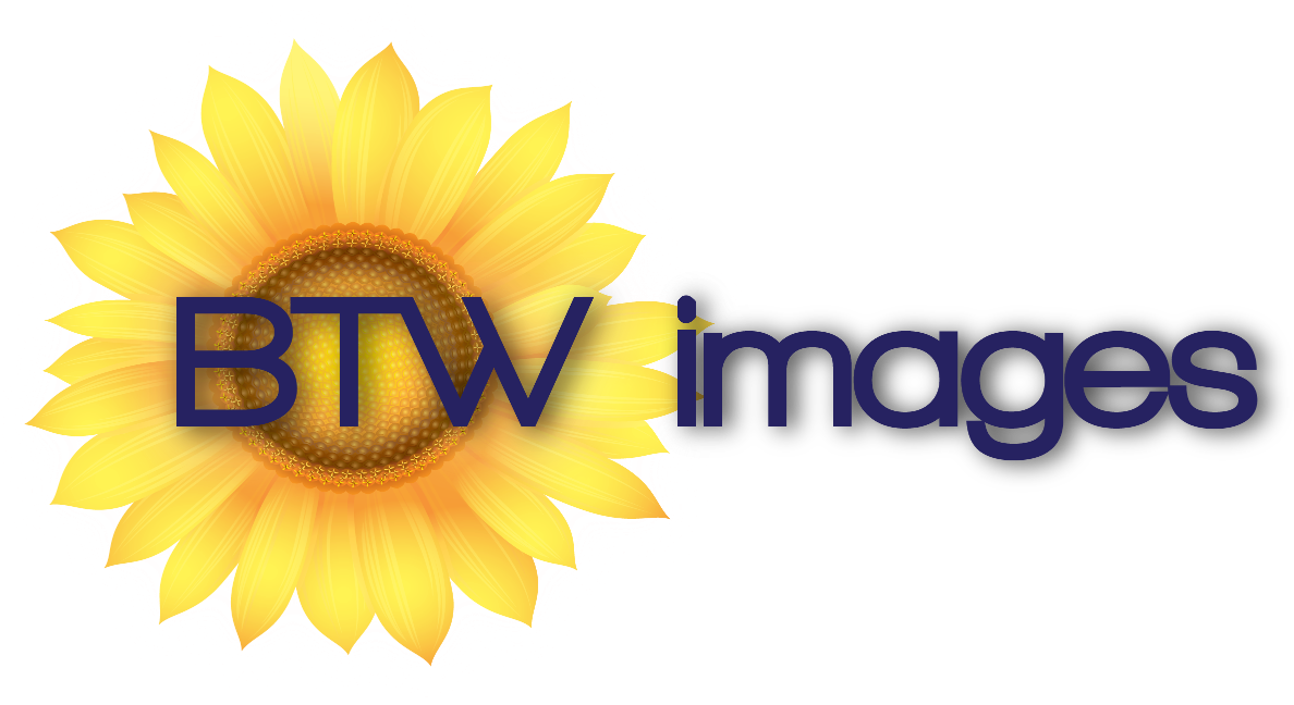 Btw Images, Llc - Sunflower Clipart (1188x648), Png Download