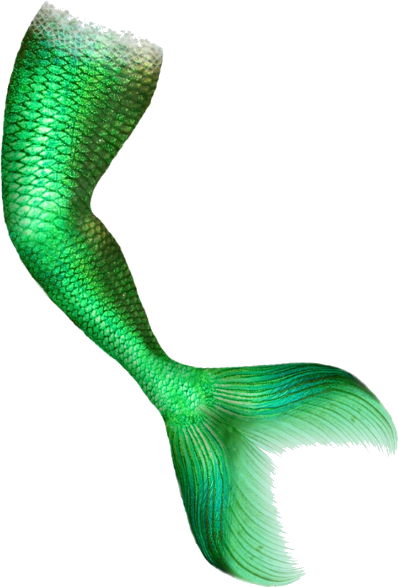 Mermaid Png For Computer - Mermaid Tail Green Screen Clipart (900x840), Png Download