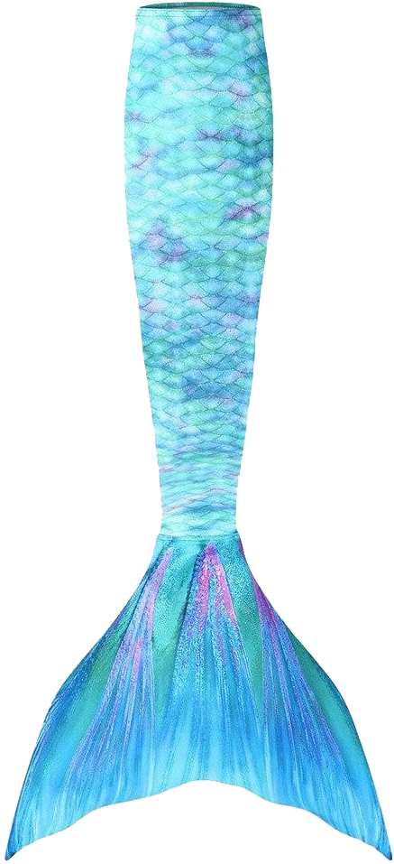 Mermaid Tail Png Picture - Queu De Sirene Dessin Clipart (1024x1024), Png Download