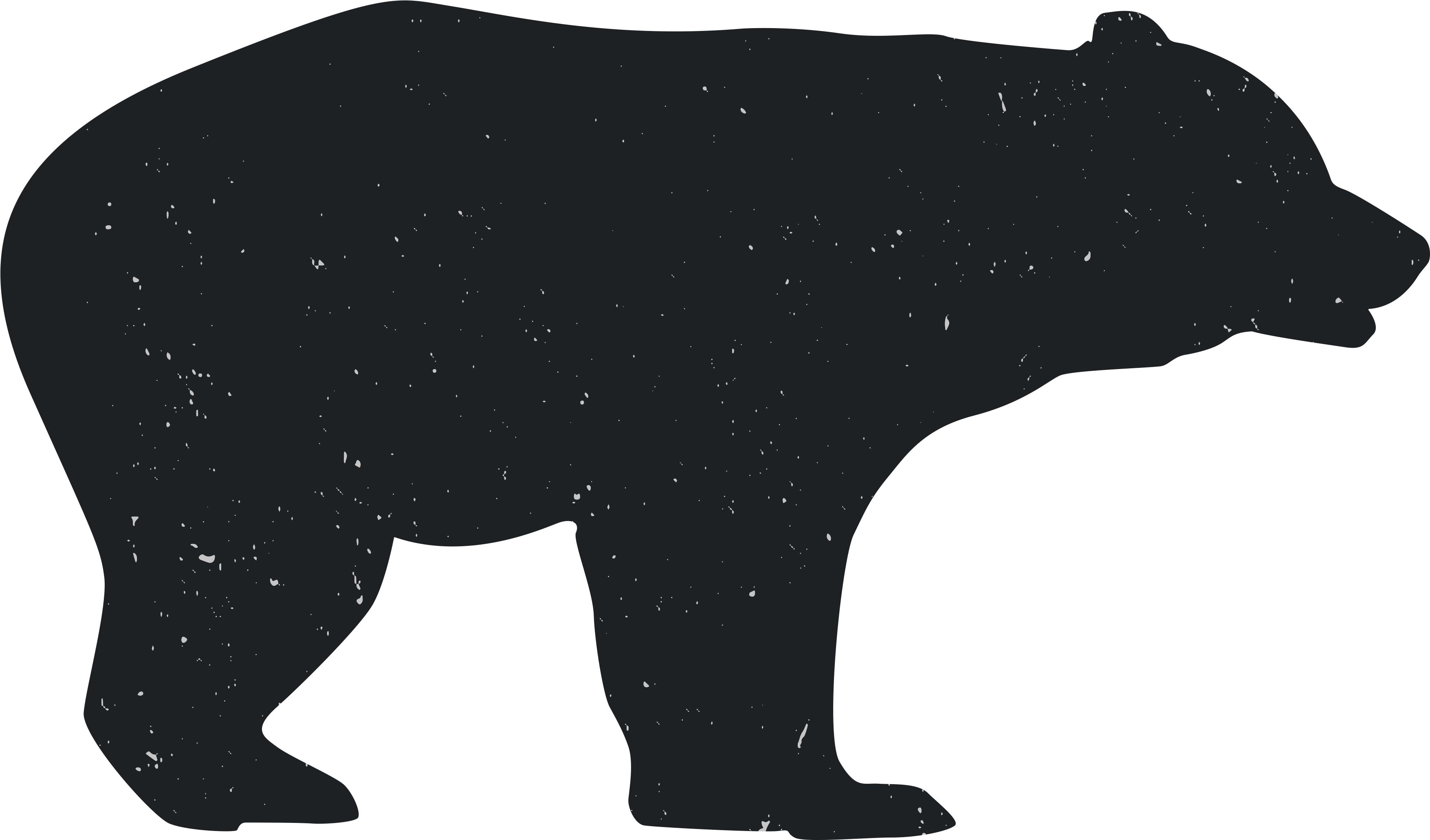 Bear Silhouette Dog Animal - Transparent Bear Silhouette Png Clipart (3600x3600), Png Download