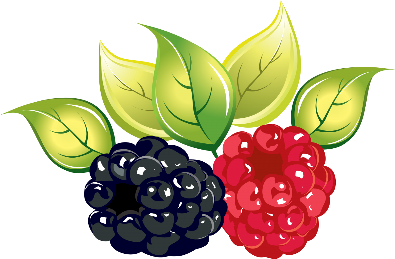 Rasberry Clipart Png Image - Transparent Berry Clipart (1280x838), Png Download