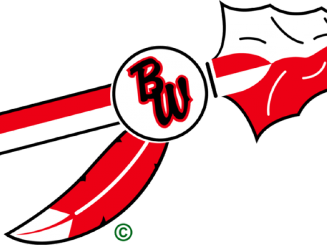 Spear Clipart Arrowhead Spear - Baldwin Woodville Blackhawks Logo - Png Download (640x480), Png Download