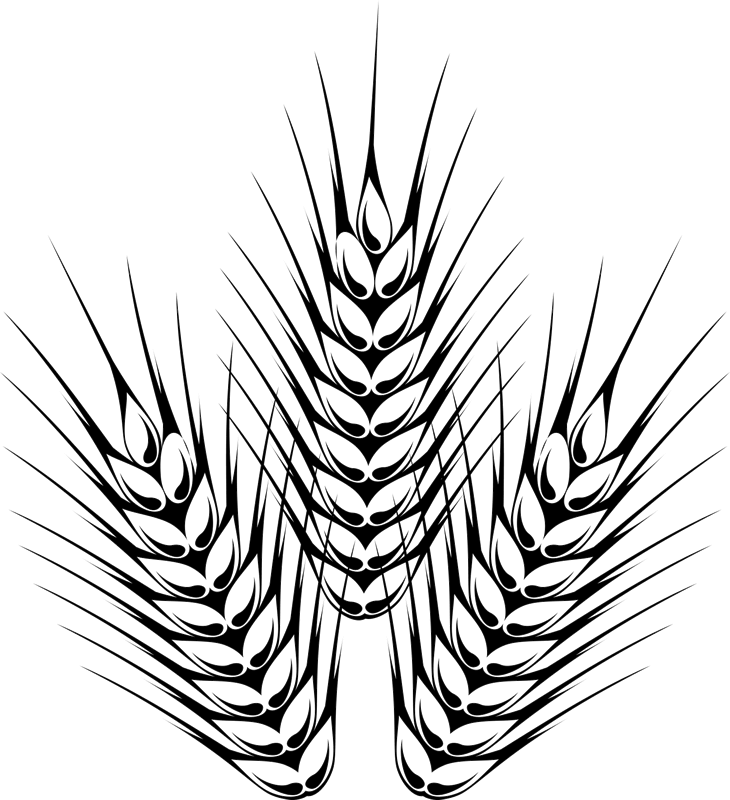 Barley Outline Rubber Stamp - Outline Images Of Barley Clipart (730x800), Png Download