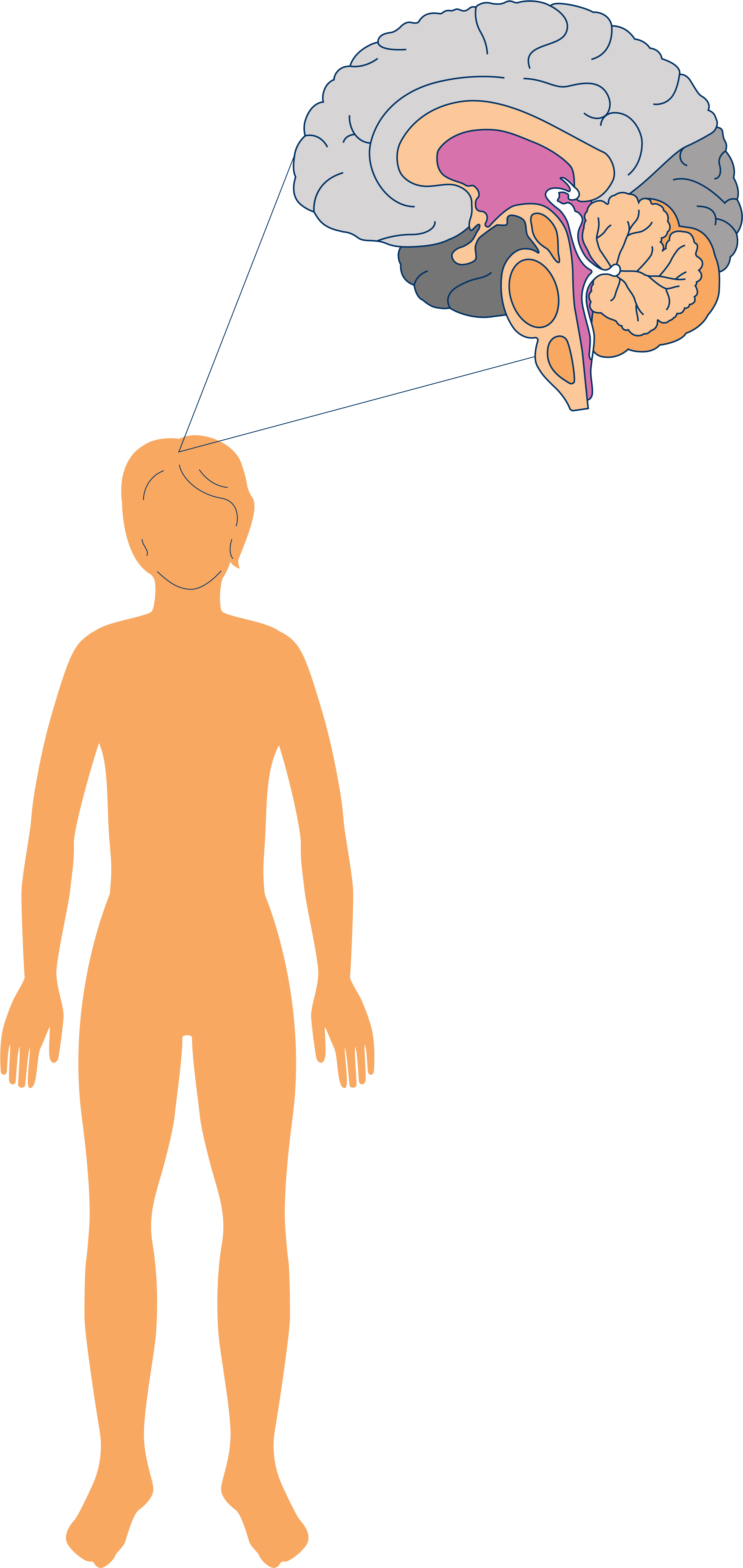 Clip Art - Png Download (5116x9354), Png Download