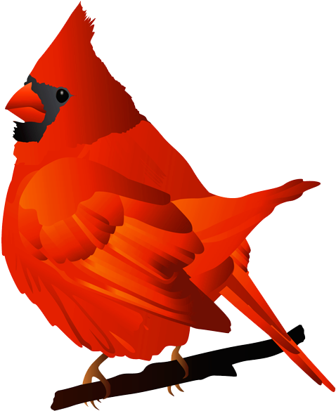Holiday Clipart Cardinal - Cardinal Clip Art - Png Download (600x616), Png Download