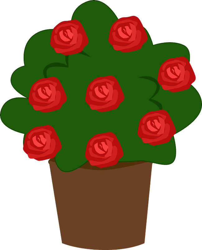 Pot With Roses Clipart - Garden Roses - Png Download (649x800), Png Download