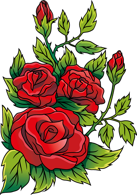 Rose Clipart - Png Download (563x800), Png Download