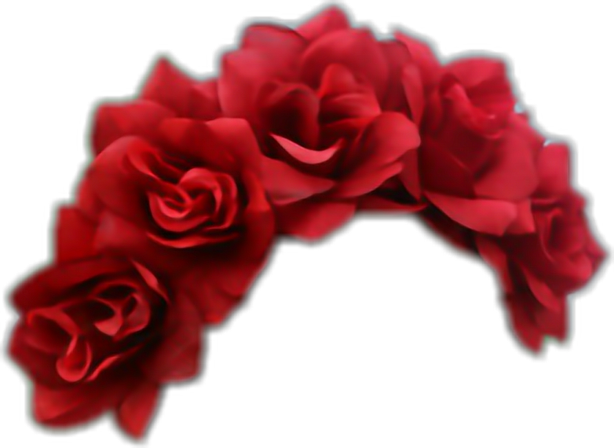 #roses #flowercrown #red - Garden Roses Clipart (892x652), Png Download