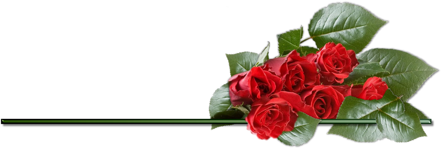 Clipart Rose Png - Roses Birthday Hd Png Transparent Png (1534x516), Png Download