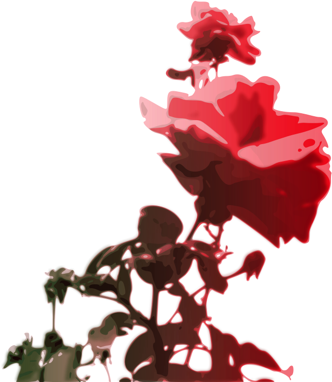 Roses - Roses Clipart - Png Download (800x800), Png Download