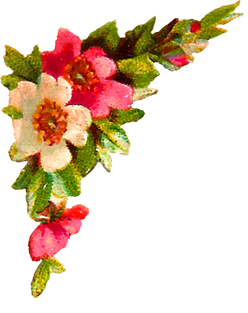 Flower Corner Design Png - Flower Corner Png Clipart (955x1239), Png Download