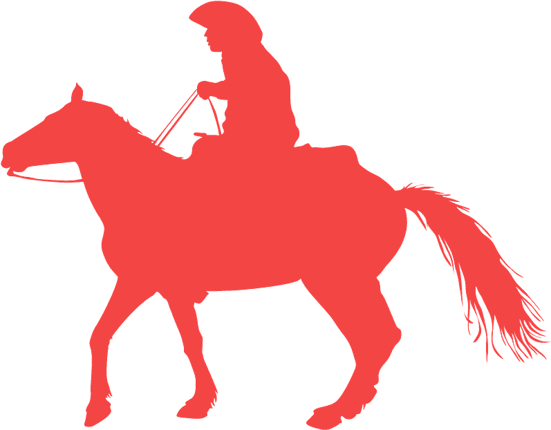 Stallion Clipart (800x628), Png Download