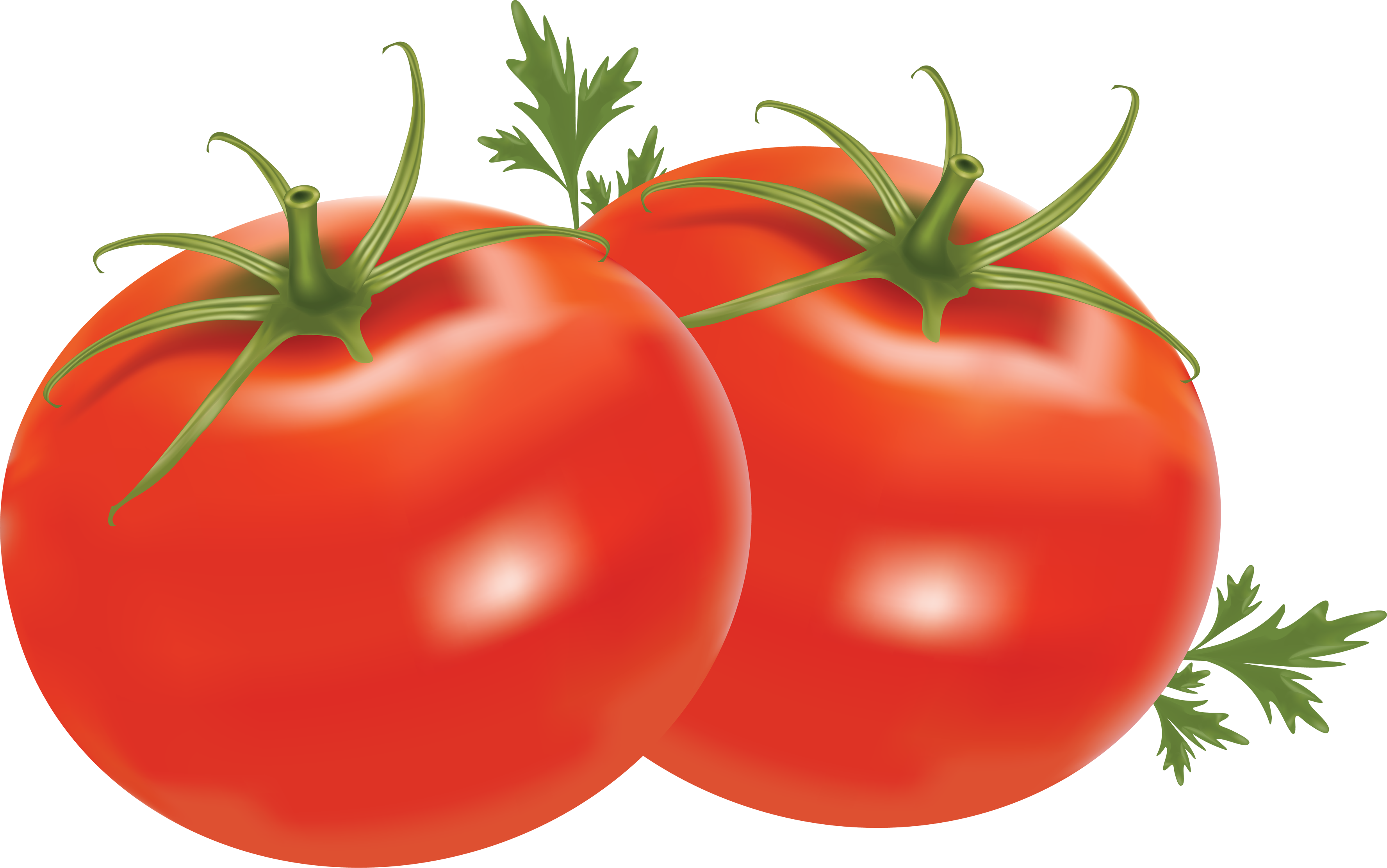Tomato Clipart Png Transparent Png (1024x641), Png Download