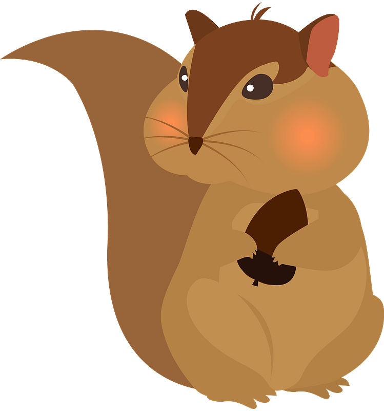 Squirrel Animal Clipart - Illustration - Png Download (749x800), Png Download
