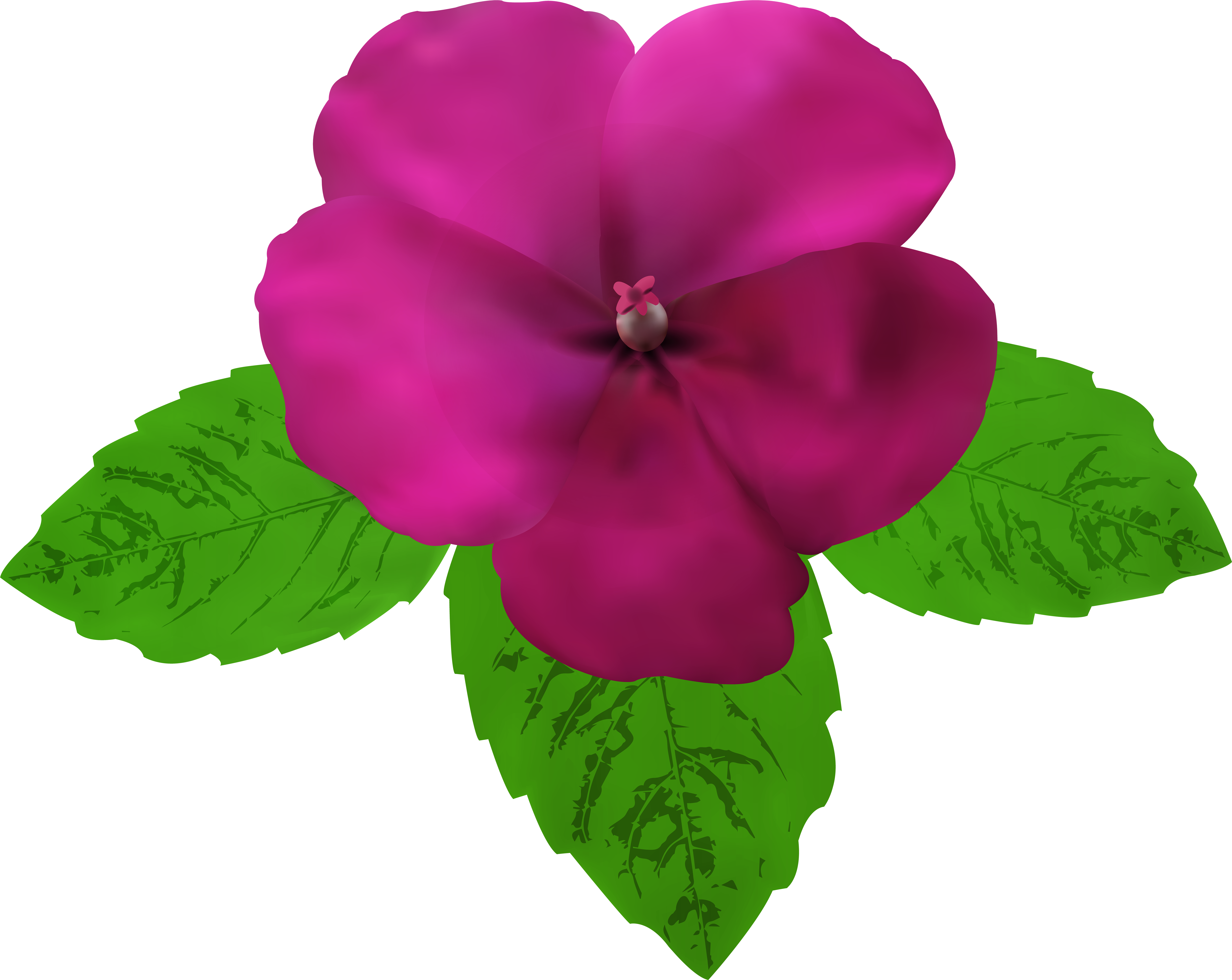 Magenta Flower Clipart Clip Art Royalty Free Download - Png Download (8000x6365), Png Download