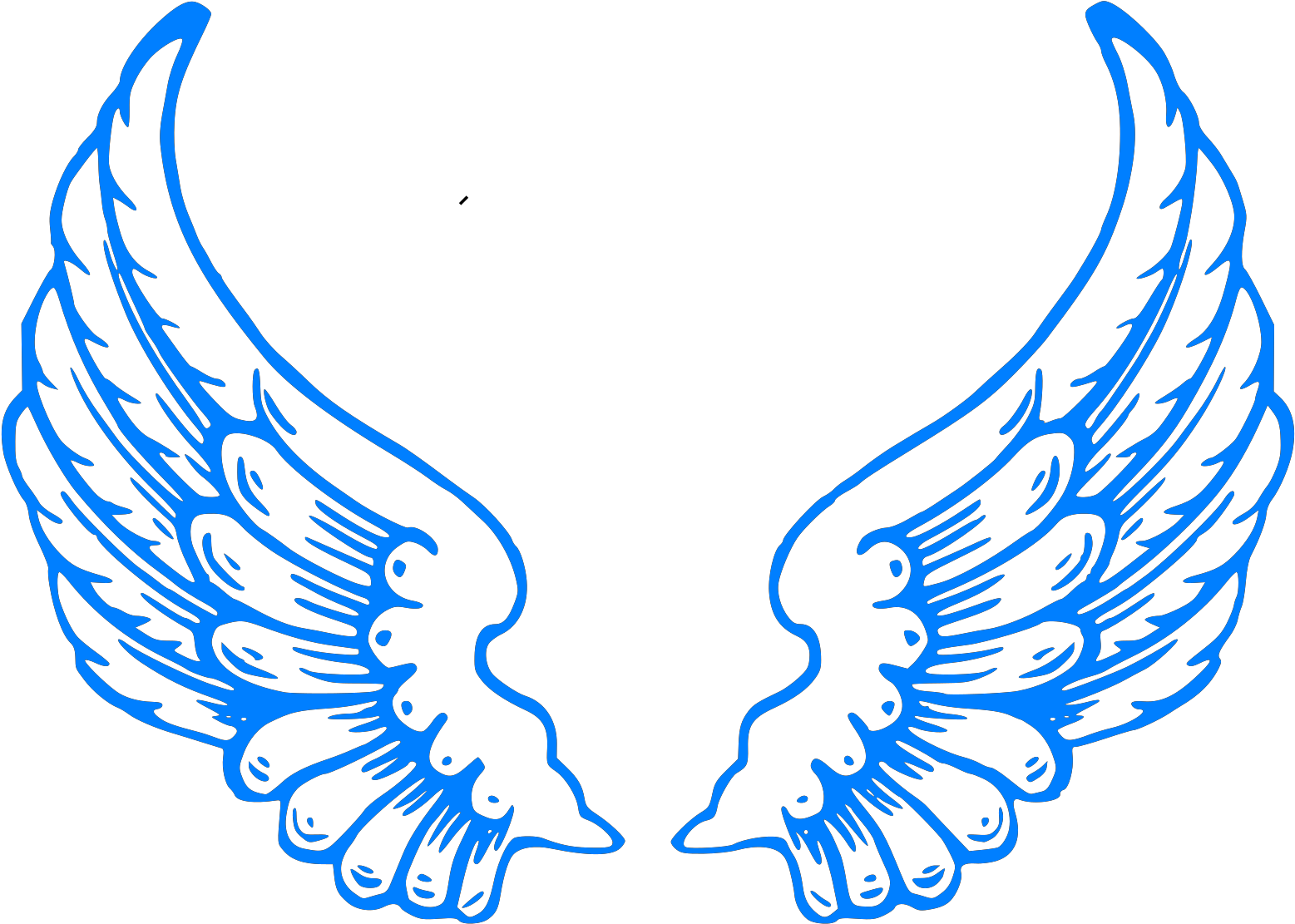 Wings Images Hd Png Clipart (1600x1600), Png Download