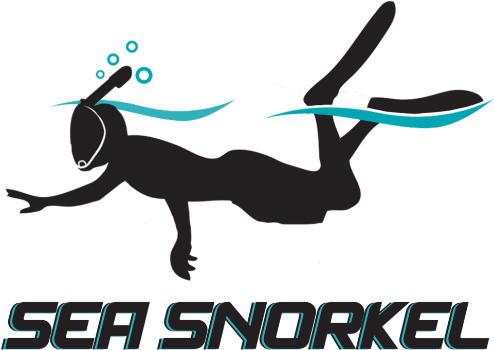 Clip Art - Png Download (1200x857), Png Download