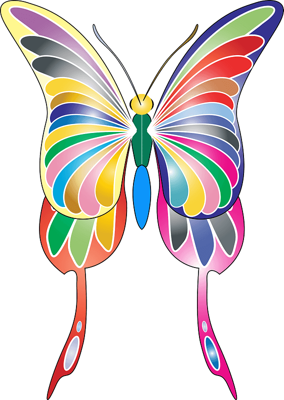 Colourful Butterfly Clipart - Butterflies - Png Download (568x800), Png Download