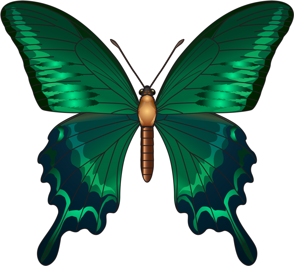 Butterfly Clip Art Green - Png Download (600x542), Png Download