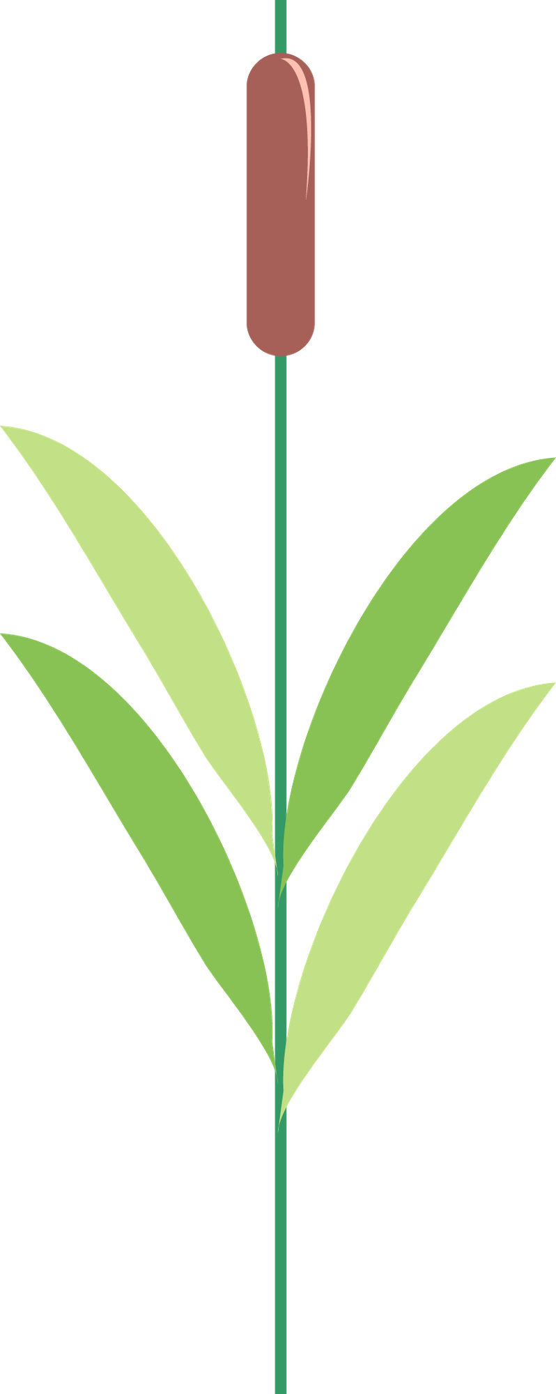 Sapos Minus Applique Pinterest - Illustration Clipart (798x2000), Png Download