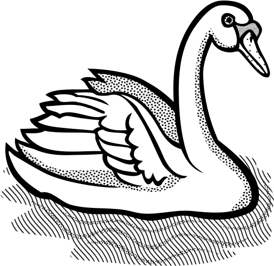 Swan With Part Spotty Feathers In Water Vector Image - Clipart Black And White Swan - Png Download (600x600), Png Download
