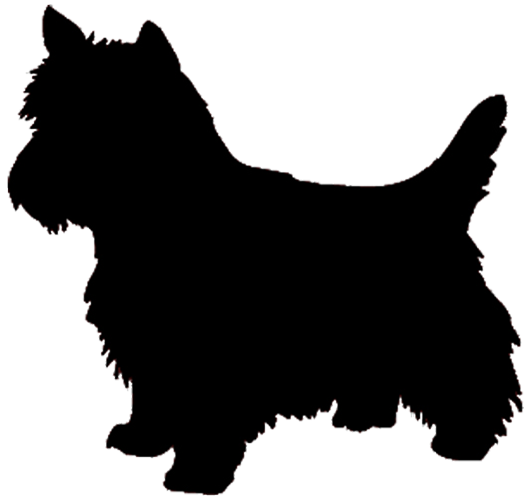 West Highland White Terrier Yorkshire Terrier Airedale West Highland