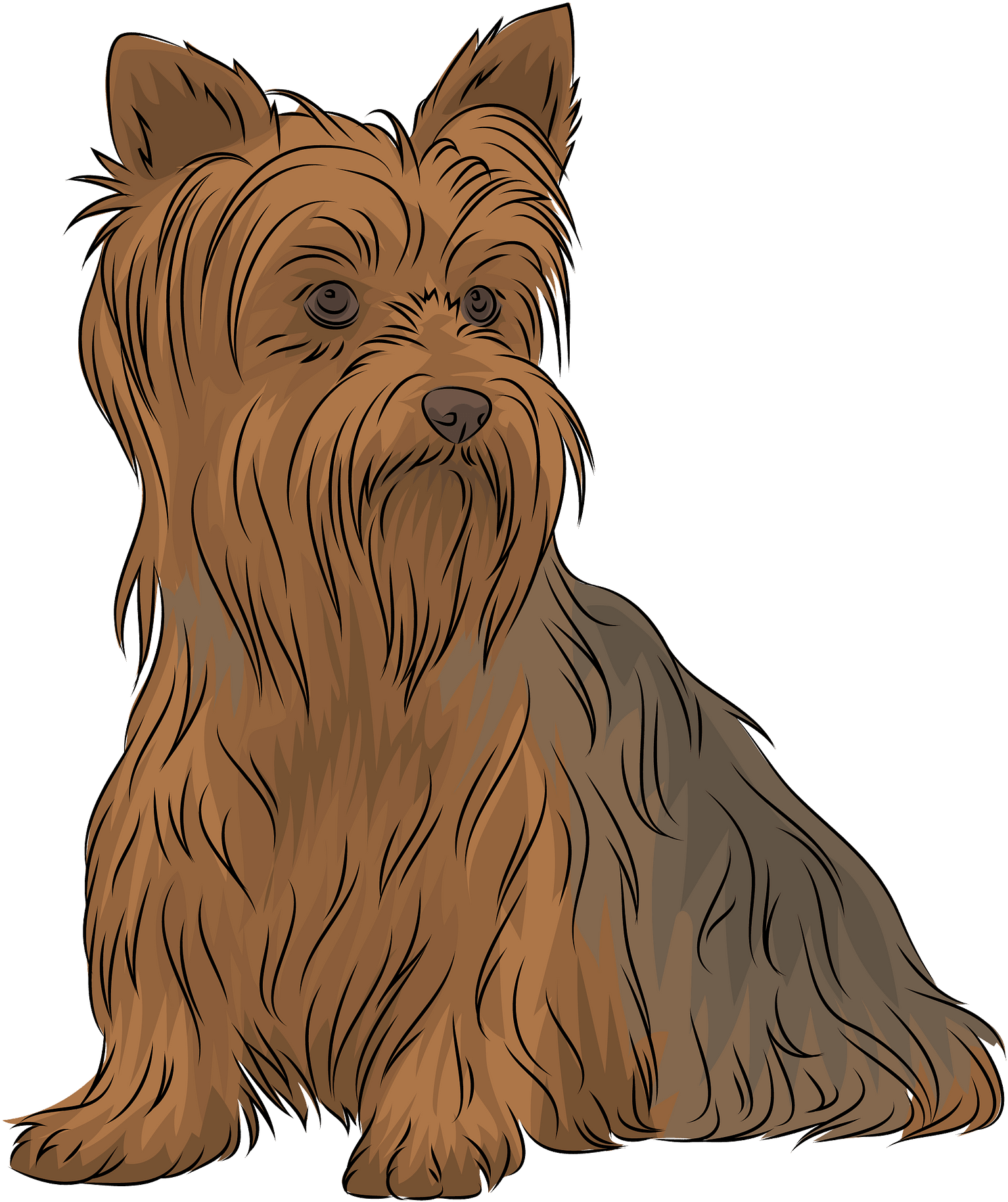 Terrier Clipart - Png Download (1707x1920), Png Download