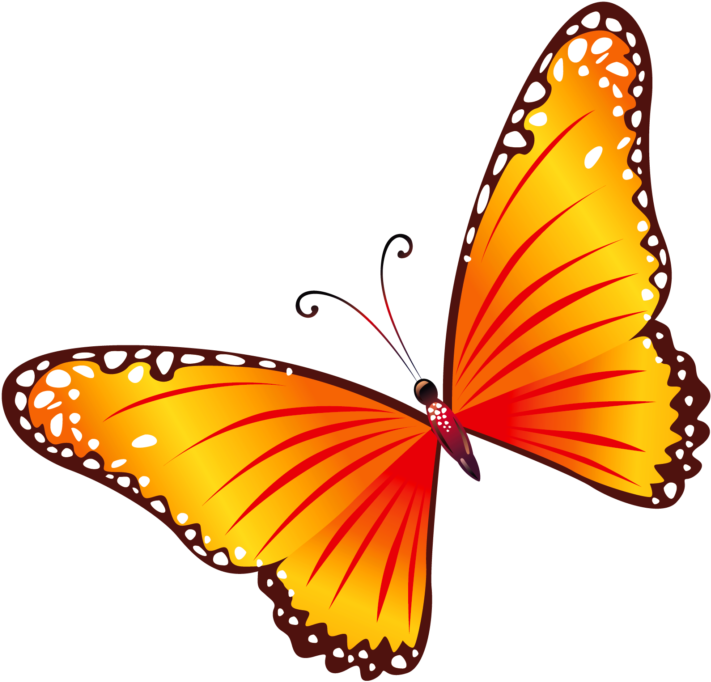 Butterfly Clipart Png Transparent (768x754), Png Download