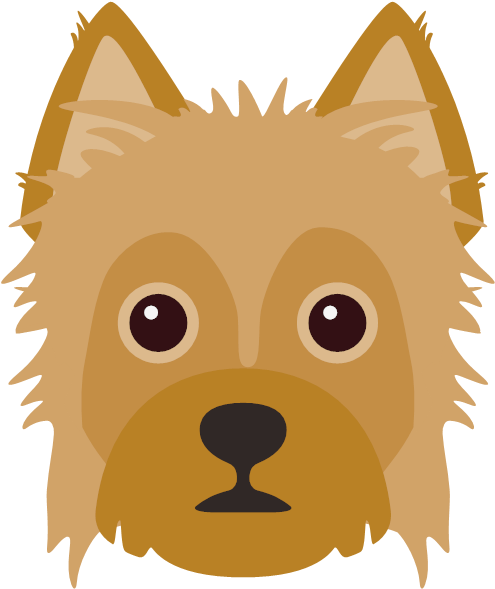 Chorkie Clipart (600x600), Png Download