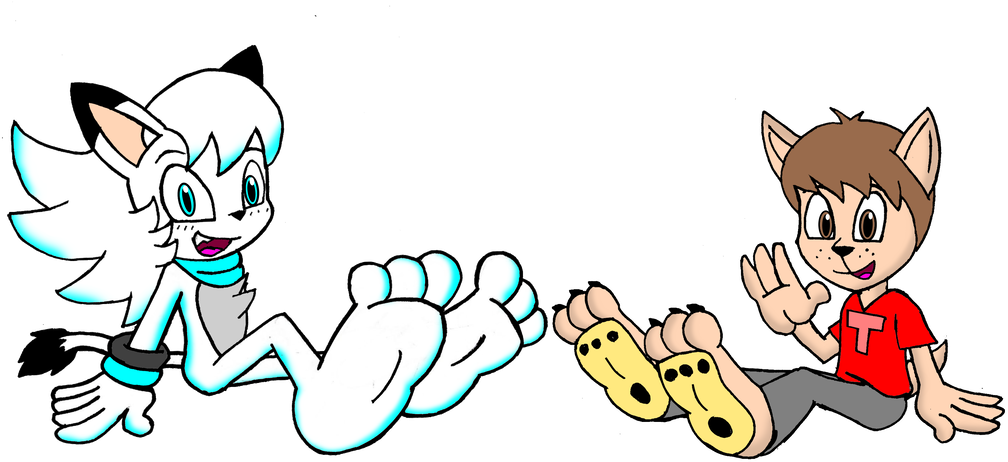 Yorkie Clipart Head - Cartoon - Png Download (1024x477), Png Download