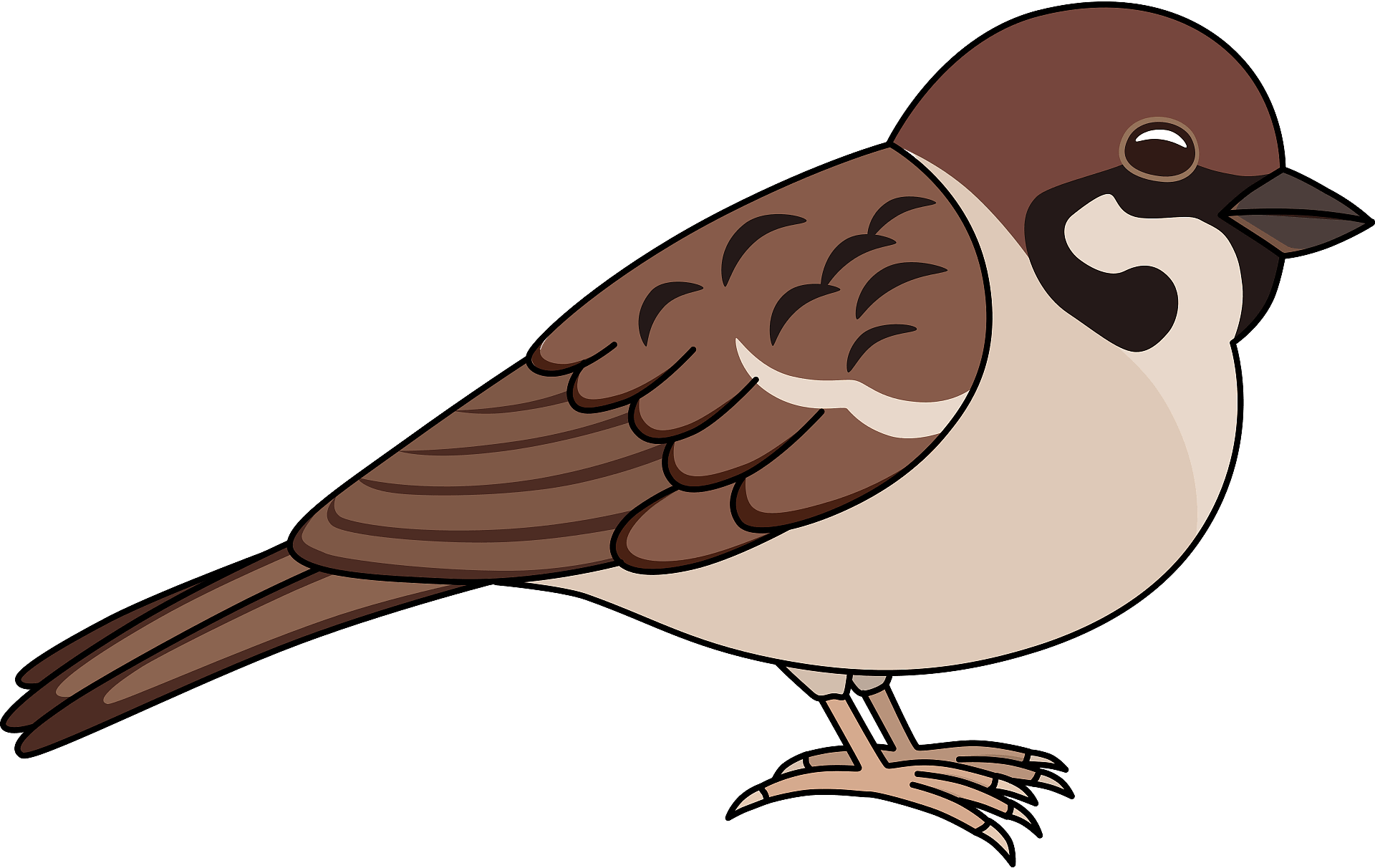 Download Clipart Sparrows Png Download (5534677) PinClipart