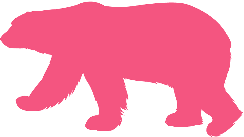 Polar Bear Clipart (800x450), Png Download