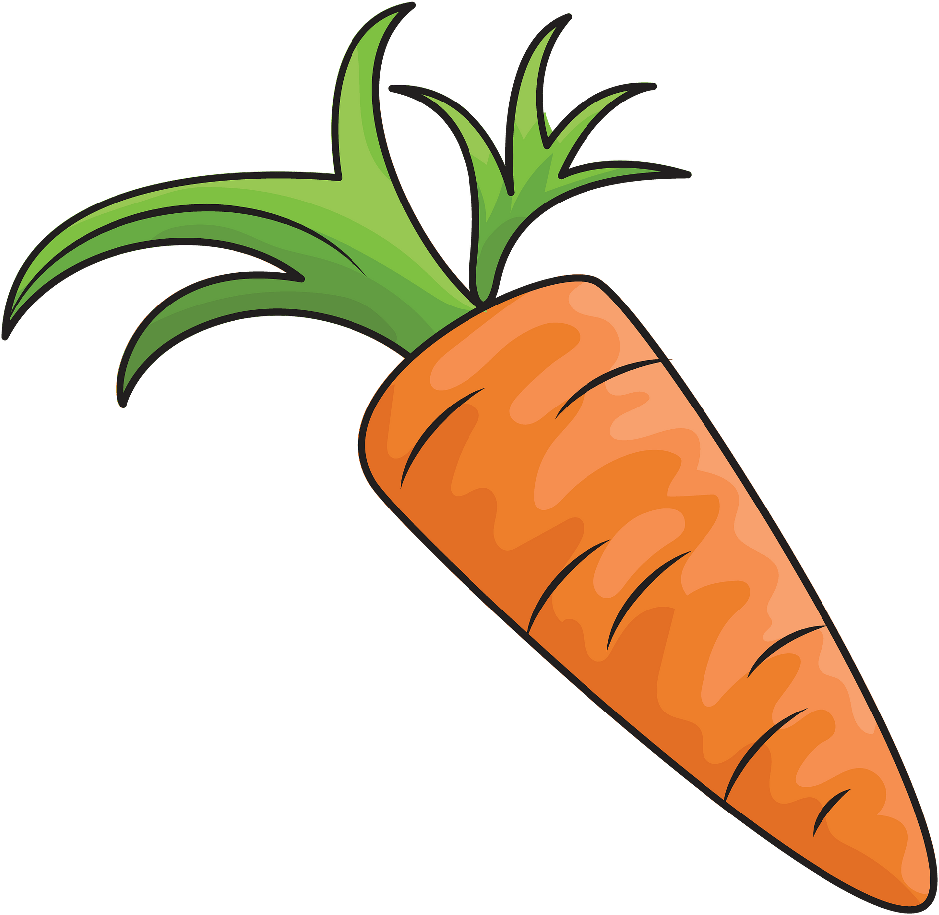 Carrot Clipart - Png Download (1920x1917), Png Download