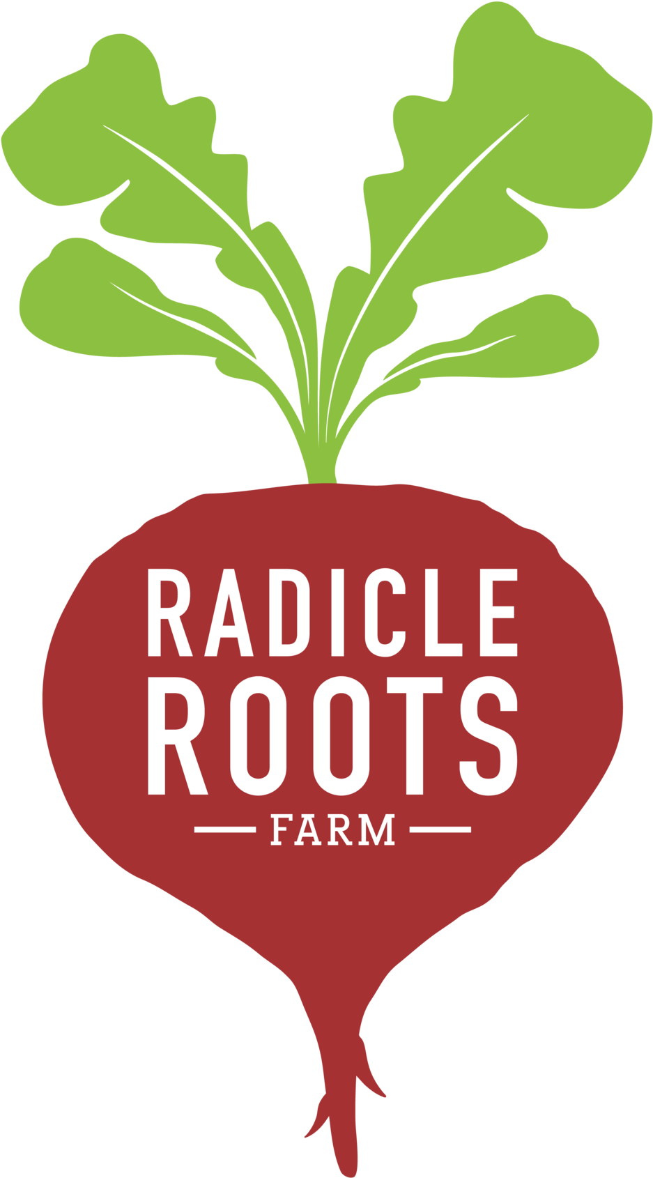 Root Clip Art - Png Download (1000x1760), Png Download
