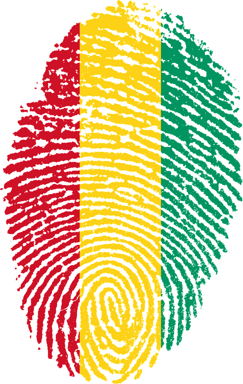 Zambian Flag - Guam Flag Fingerprint Clipart (809x1280), Png Download