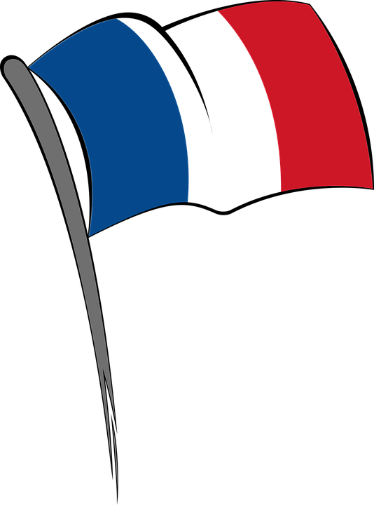 Clipart French Flag Png Transparent Png (534x720), Png Download
