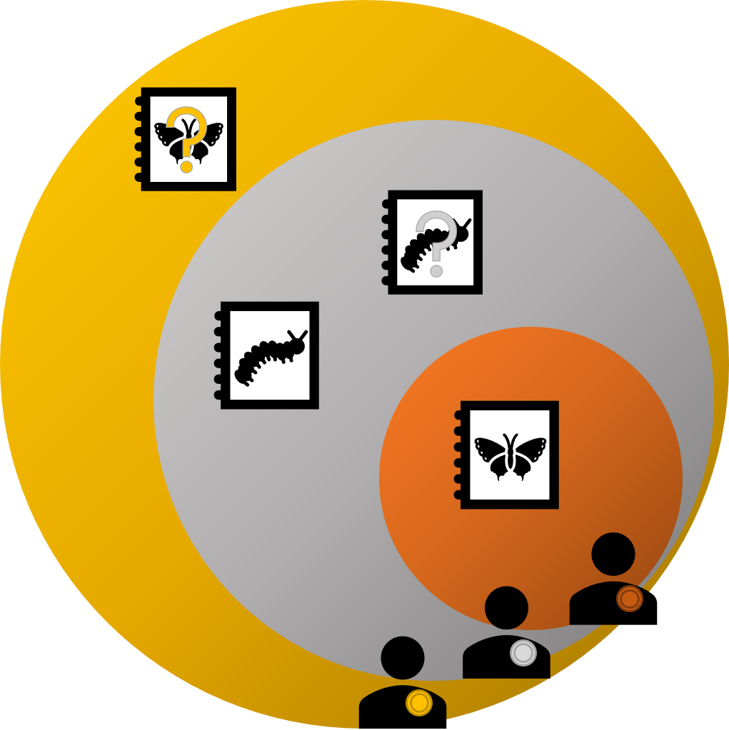 Circle Clipart (1021x1023), Png Download