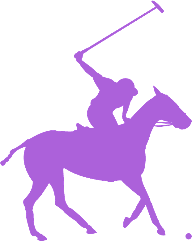Polo Clipart (634x800), Png Download
