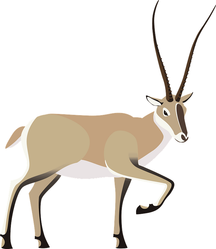 Tibetan Antelope Clipart Deer Png Download Full Size Clipart 5538131 Pinclipart