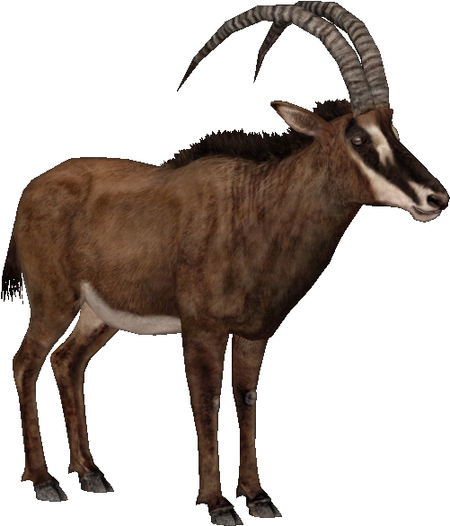 Transparent Antelope No Background Clipart - Full Size Clipart