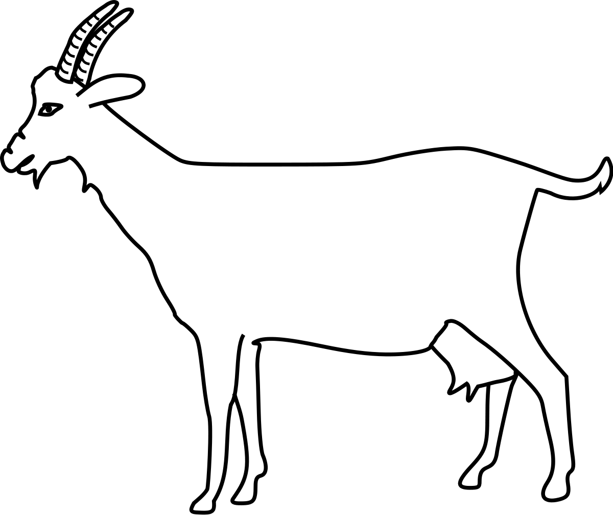 Outline Goat Clipart - Png Download - Full Size Clipart (#5538285 ...