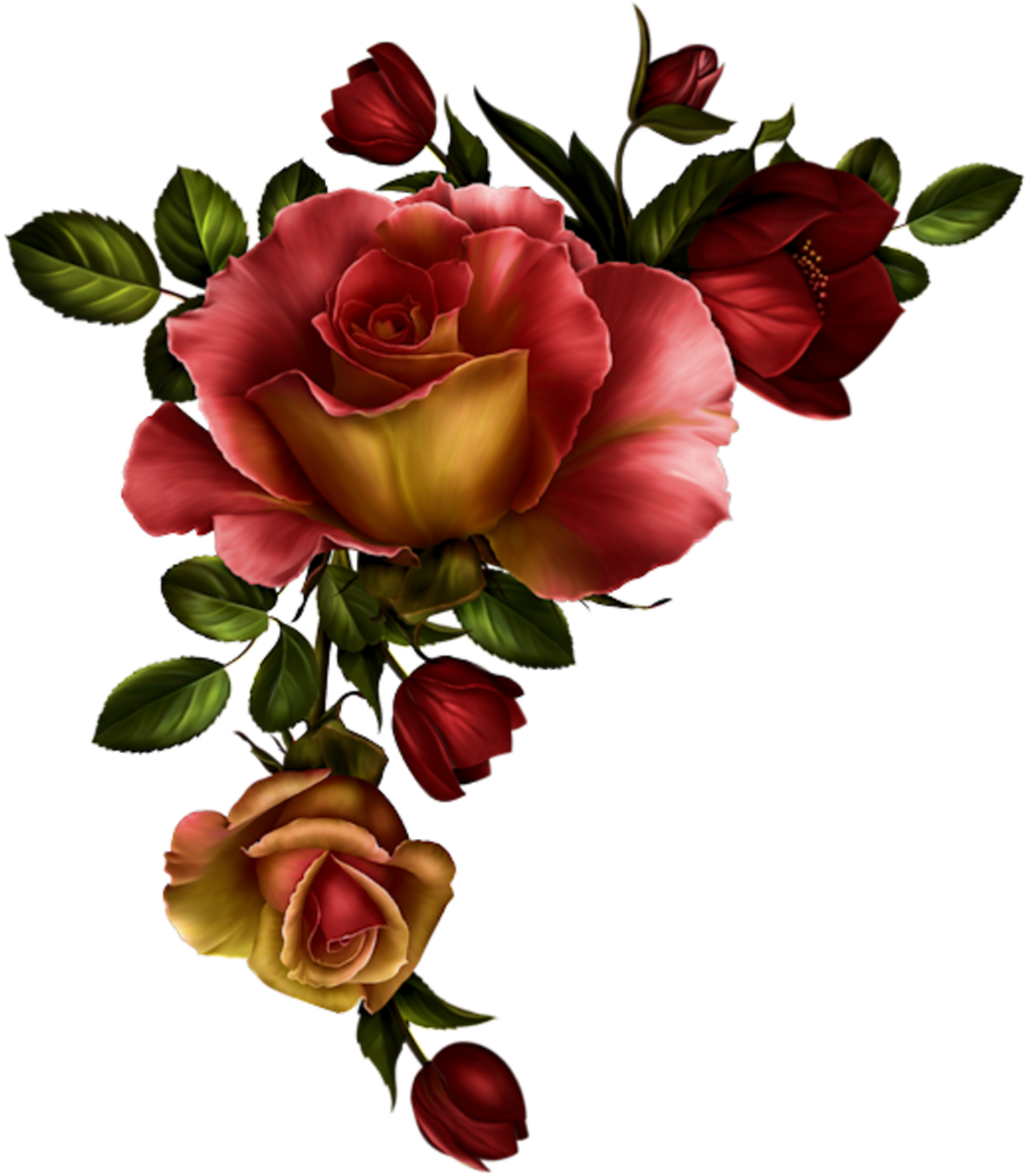 Red Rose Clipart Divider - Png Download (1012x1159), Png Download