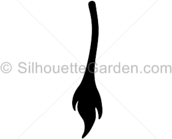 Tail Of A Donkey Clipart (640x480), Png Download