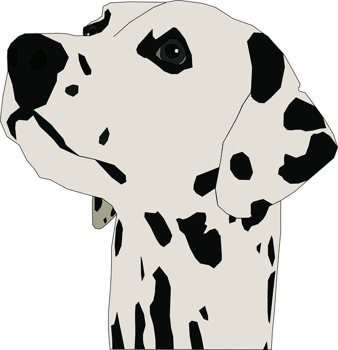 Puppy Svg Traceable Transparent & Png Clipart Free - Dalmatian Head Clipart (695x720), Png Download