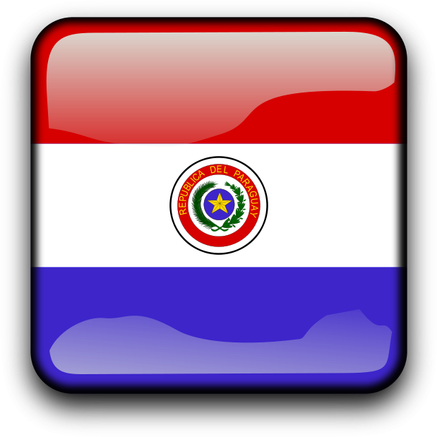 Py - Paraguay Flag Clipart (800x800), Png Download