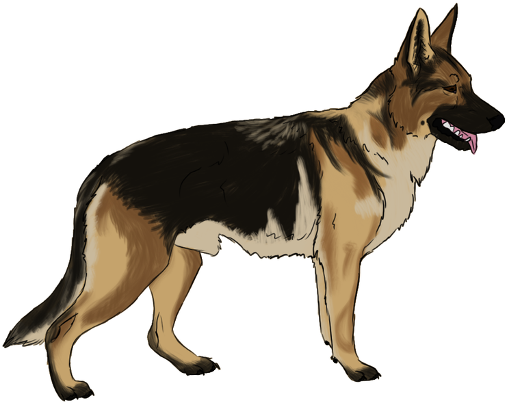 Transparent Funny Dog Png - German Shepherd Dog Clipart (741x589), Png Download