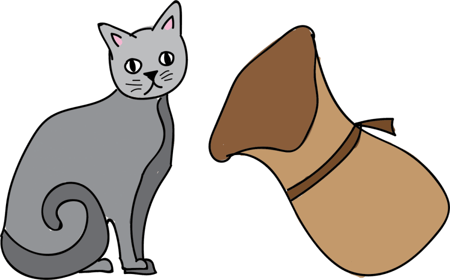 Cat Yawns Clipart (900x560), Png Download